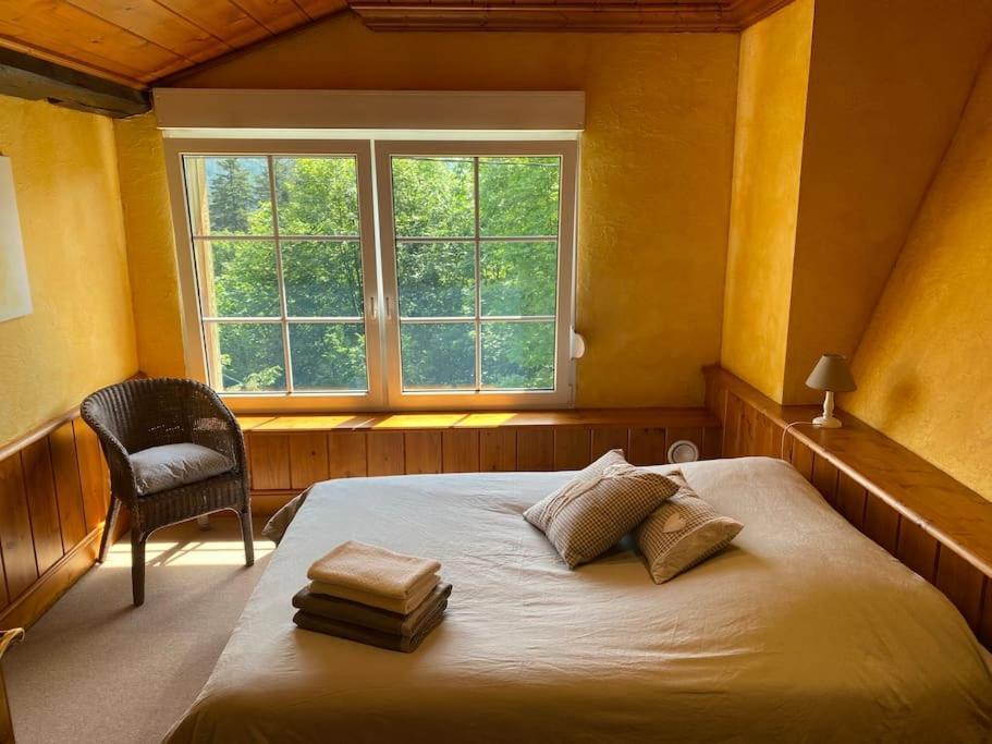 Ferme De Chenezeau - 15 Personnes , 7 Chambres Gérardmer Kültér fotó
