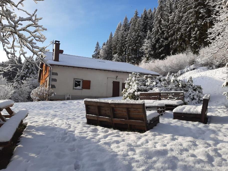 Ferme De Chenezeau - 15 Personnes , 7 Chambres Gérardmer Kültér fotó