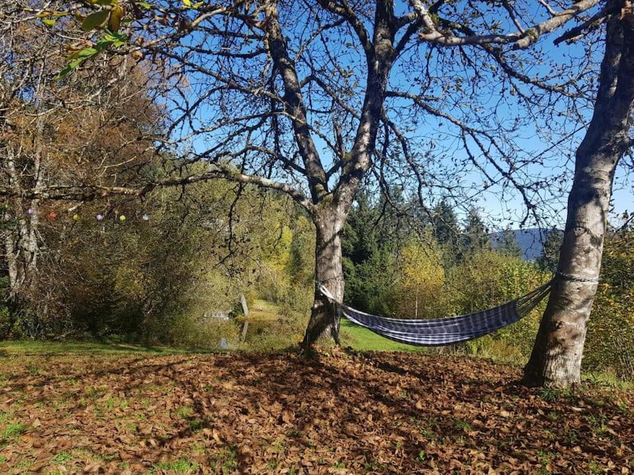 Ferme De Chenezeau - 15 Personnes , 7 Chambres Gérardmer Kültér fotó