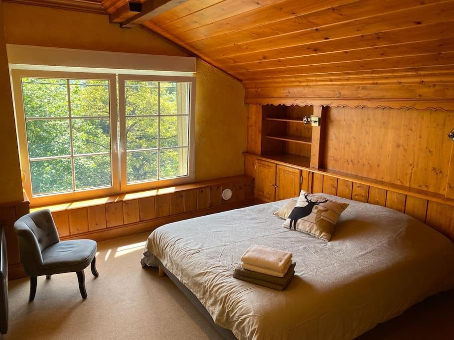 Ferme De Chenezeau - 15 Personnes , 7 Chambres Gérardmer Kültér fotó