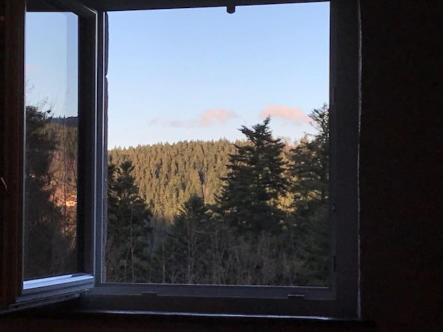 Ferme De Chenezeau - 15 Personnes , 7 Chambres Gérardmer Kültér fotó